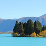Het mooiste van Nieuw Zeeland in 3 weken 