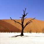 De beste reistijd voor een rondreis Namibië