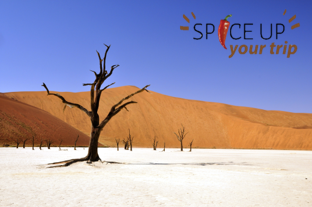 Sossusvlei en Deadvlei